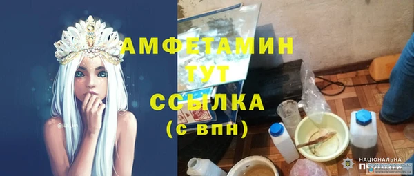 шишки Армянск