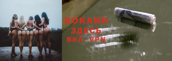 шишки Армянск