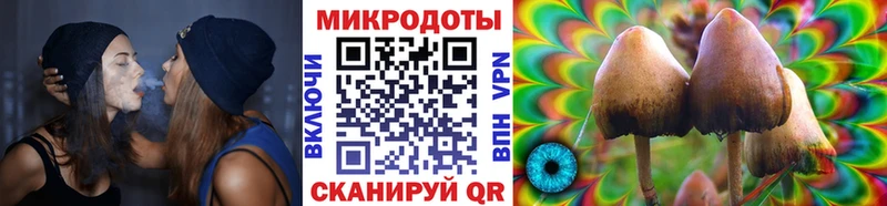 Купить Духовщина Галлюциногенные грибы мухоморы