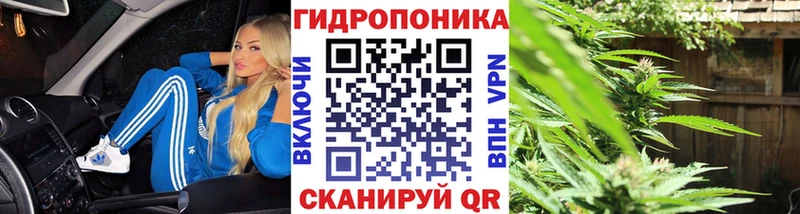 Канабис семена  Купить  Духовщина 